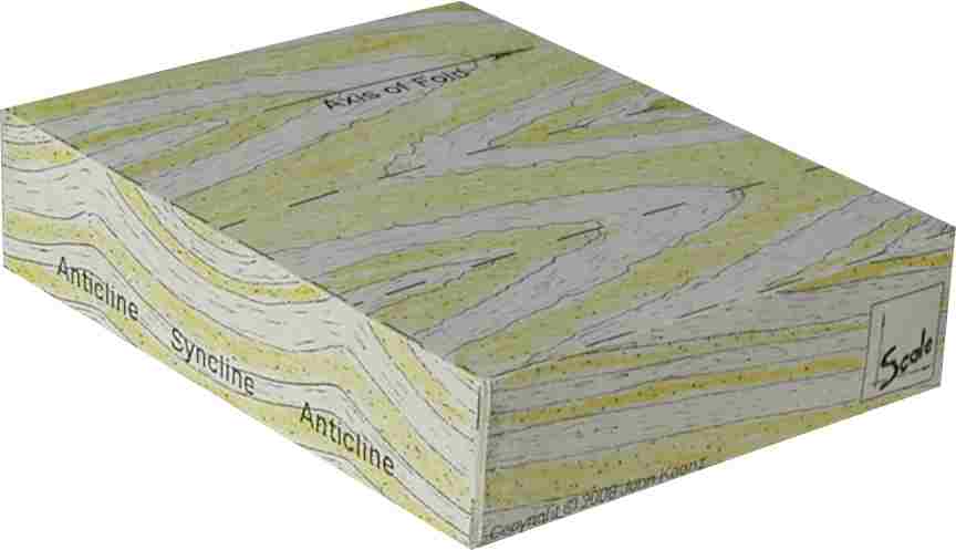 anticline